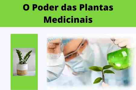 Curso de Fitoterapia Gratuito Online